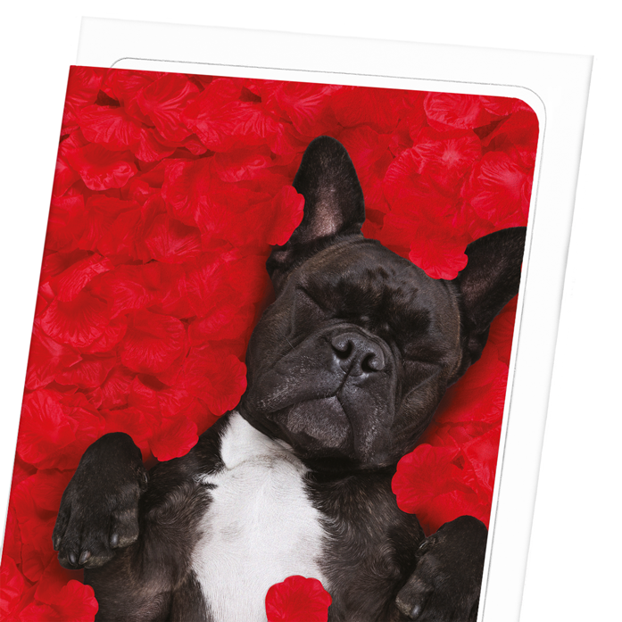 FRENCHIE DREAM: Photo Greeting Card