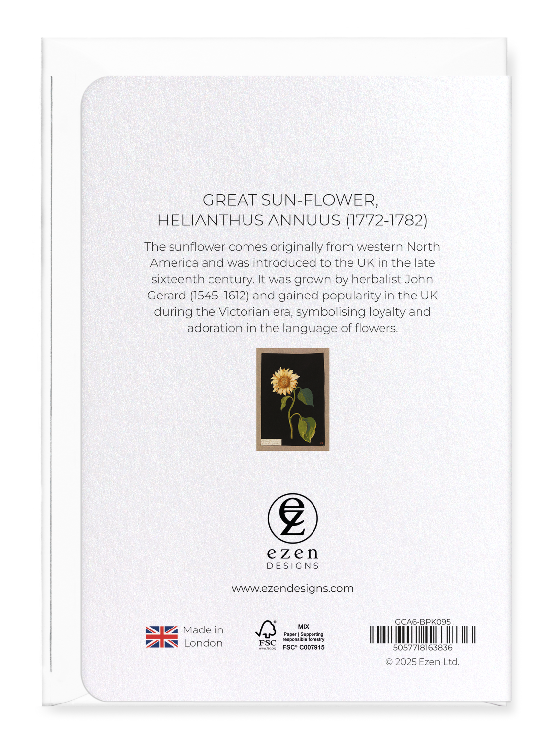 Ezen Designs - Great Sun-flower, Helianthus annuus (1772-1782) - Greeting Card - Back