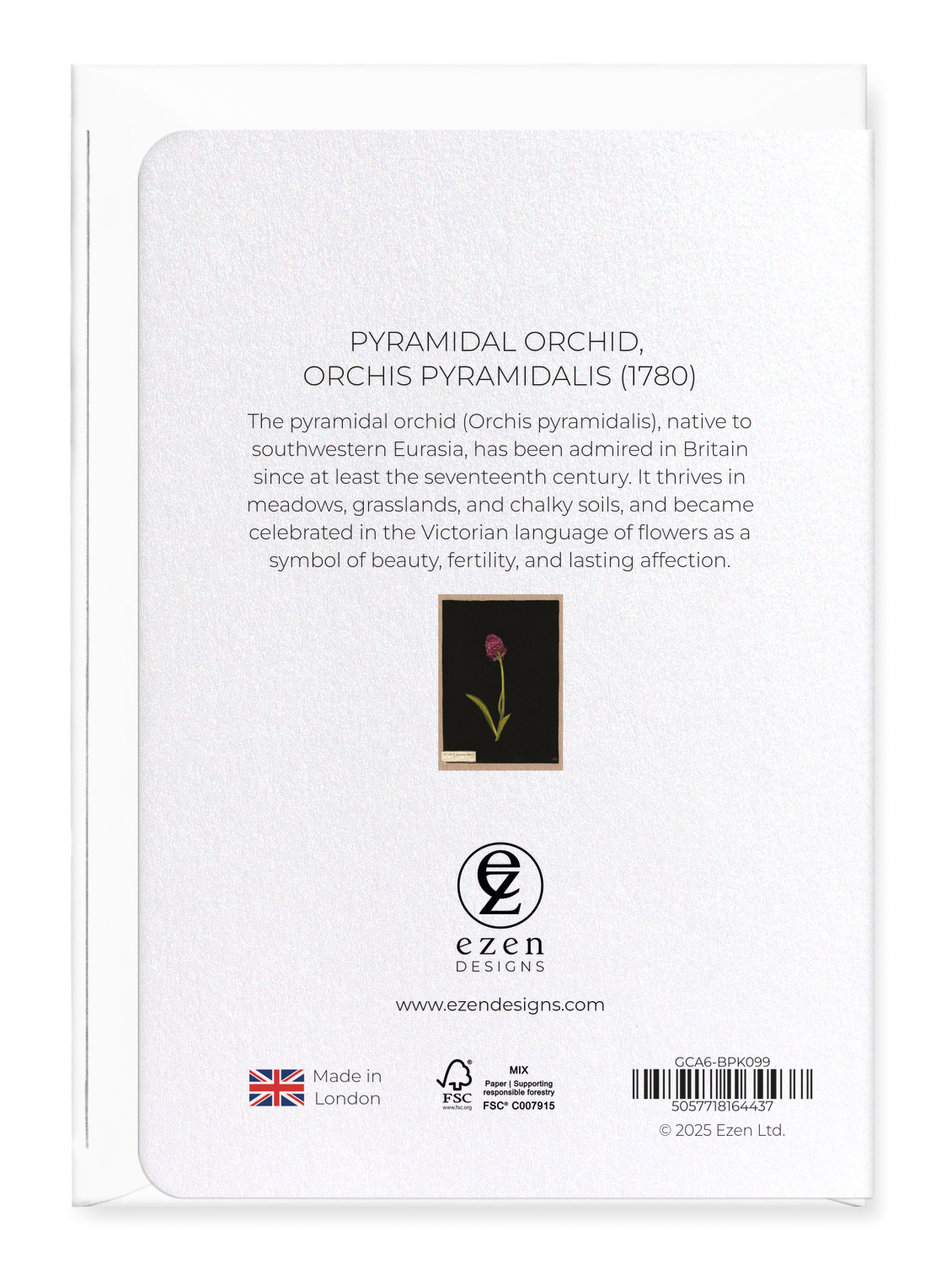 Ezen Designs - Pyramidal Orchid, Orchis Pyramidalis (1780) - Greeting Card - Back