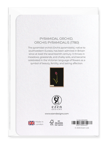 Ezen Designs - Pyramidal Orchid, Orchis Pyramidalis (1780) - Greeting Card - Back
