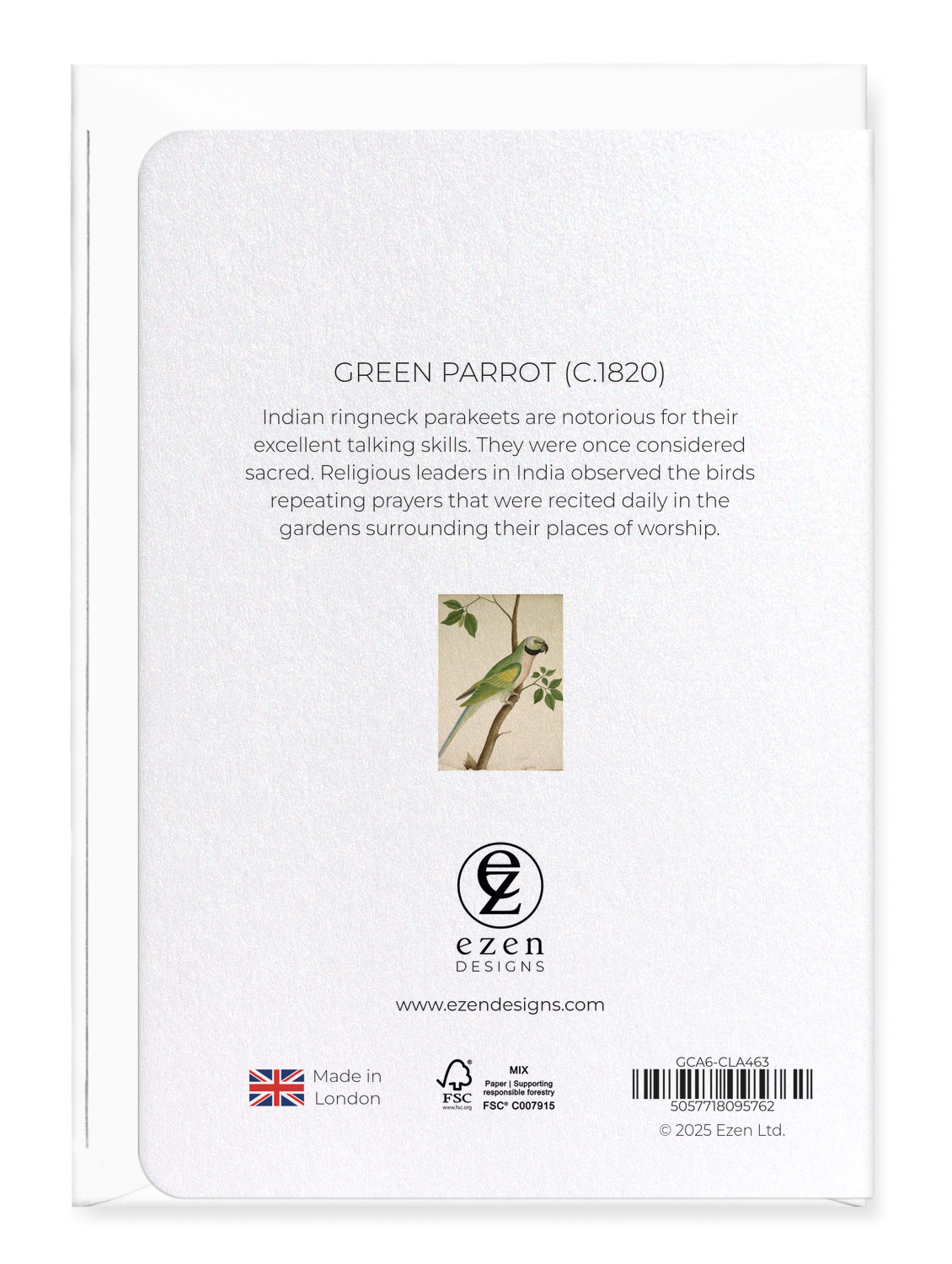 Ezen Designs - Green Parrot (c.1820) - Greeting Card - Back