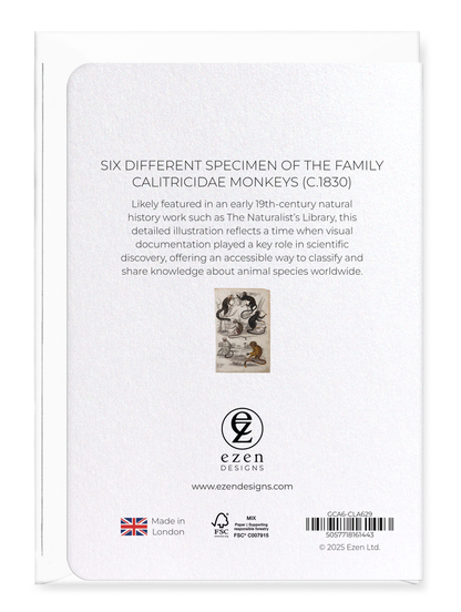 Ezen Designs - Six different specimen of the family Calitricidae Monkeys (c.1830) - Greeting Card - Back