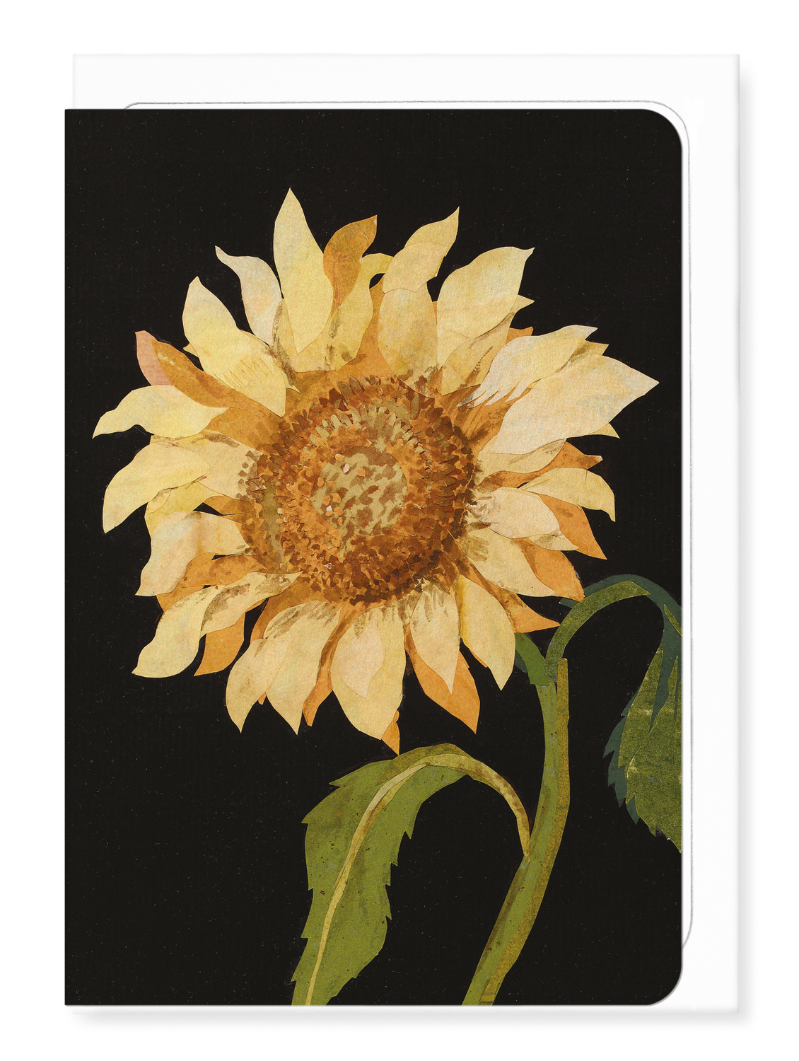 Ezen Designs - Great Sun-flower, Helianthus annuus (1772-1782) - Greeting Card - Front
