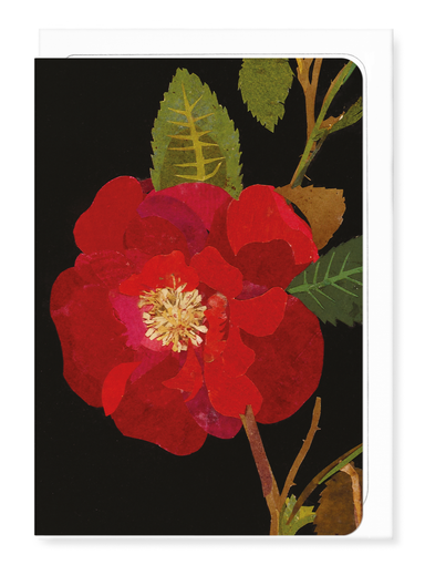 Ezen Designs - The Red Rose, Rosa Gallica (1782) - Greeting Card - Front