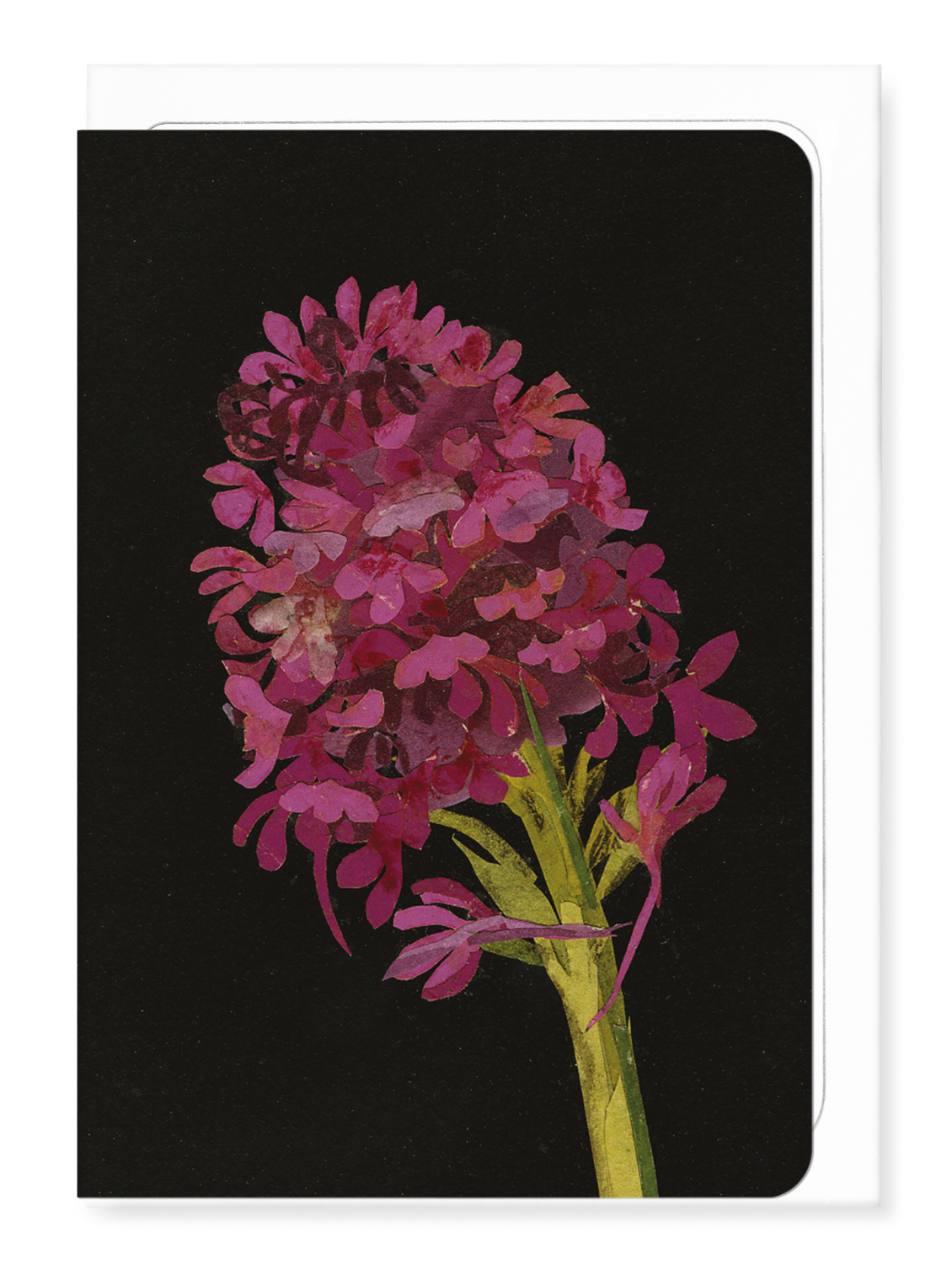 Ezen Designs - Pyramidal Orchid, Orchis Pyramidalis (1780) - Greeting Card - Front