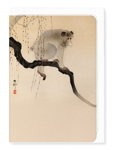 Ezen Designs - Monkey in a tree - Greeting Card - Front