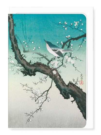Ezen Designs - Bush warbler and plum blossoms - Greeting Card - Front