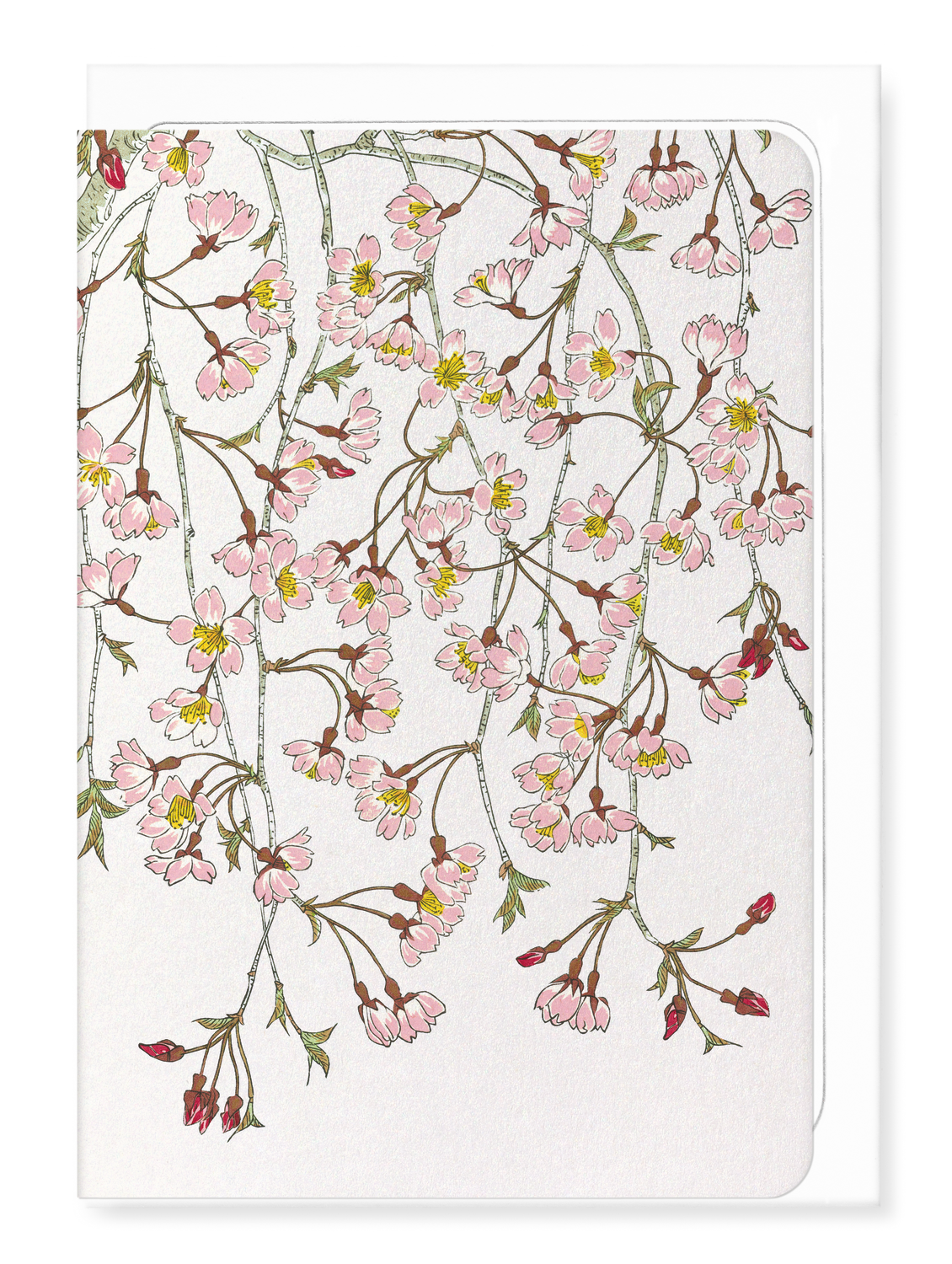 Ezen Designs - Shidarezakura blossoms - Greeting Card - Front