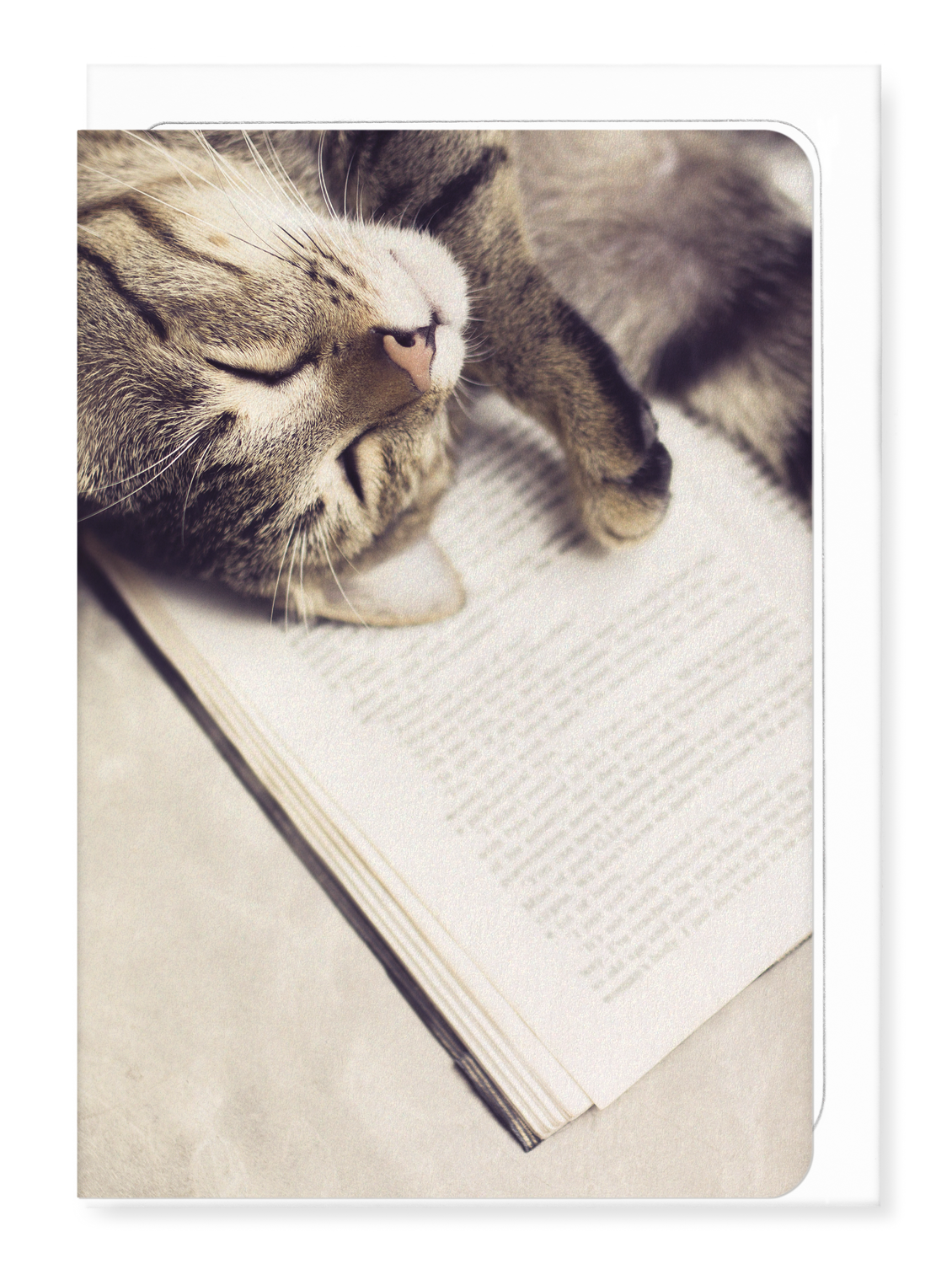 Ezen Designs - Cat and book - Greeting Card - Front