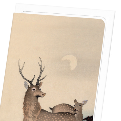 TWO DEER AND MAPLE: Japanese Greeting Card