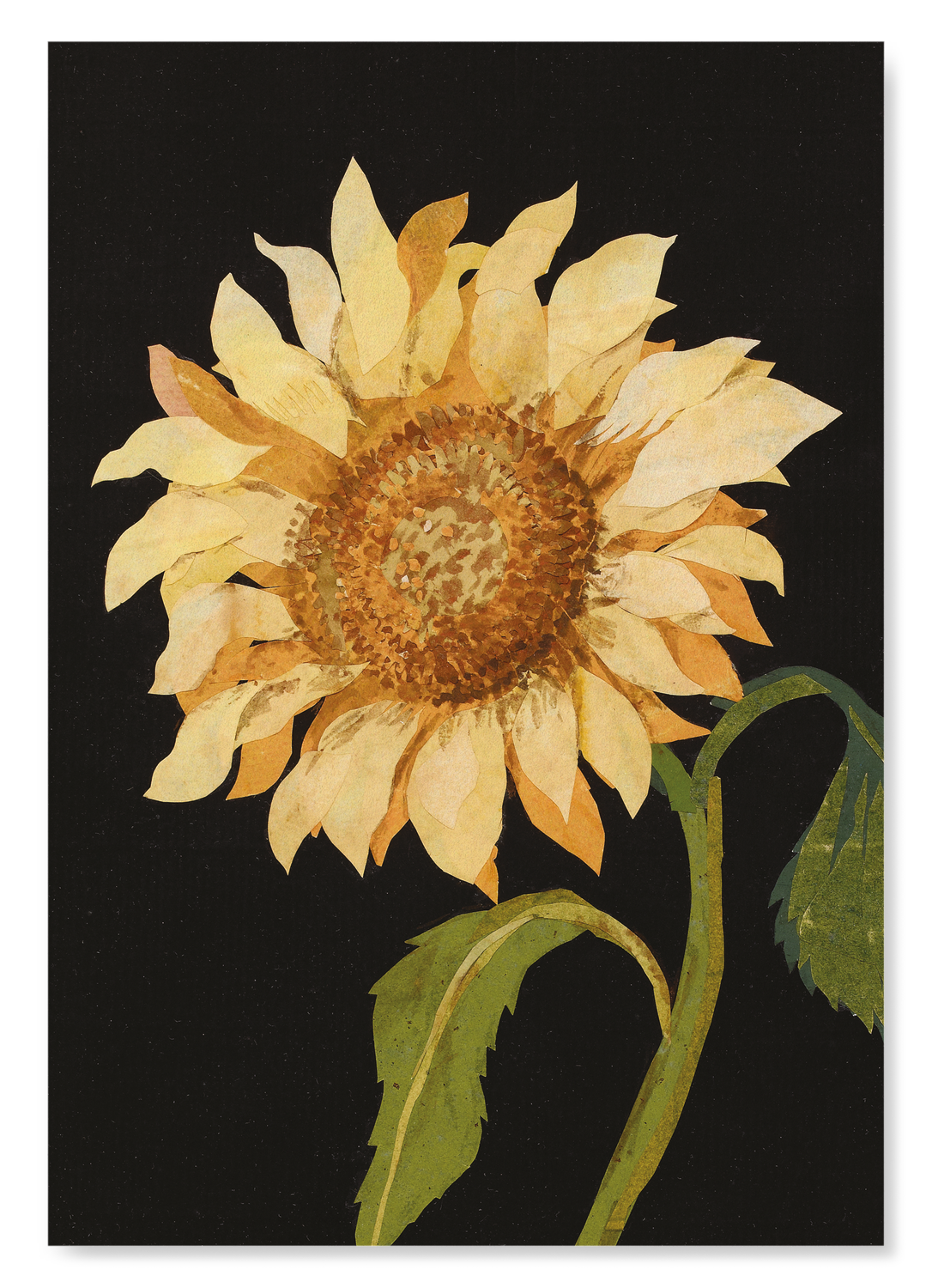 GREAT SUN-FLOWER, HELIANTHUS ANNUUS (1772-1782): Botanical Art Print