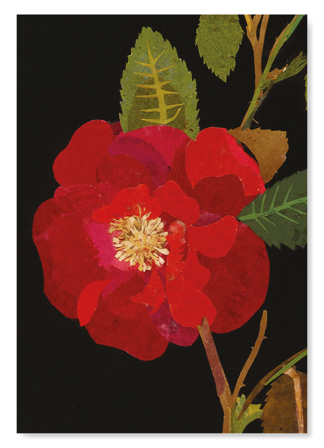 THE RED ROSE, ROSA GALLICA (1782): Botanical Art Print
