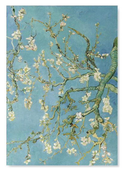 BLOSSOMING ALMOND TREE BY VAN GOGH: Painting Art Print