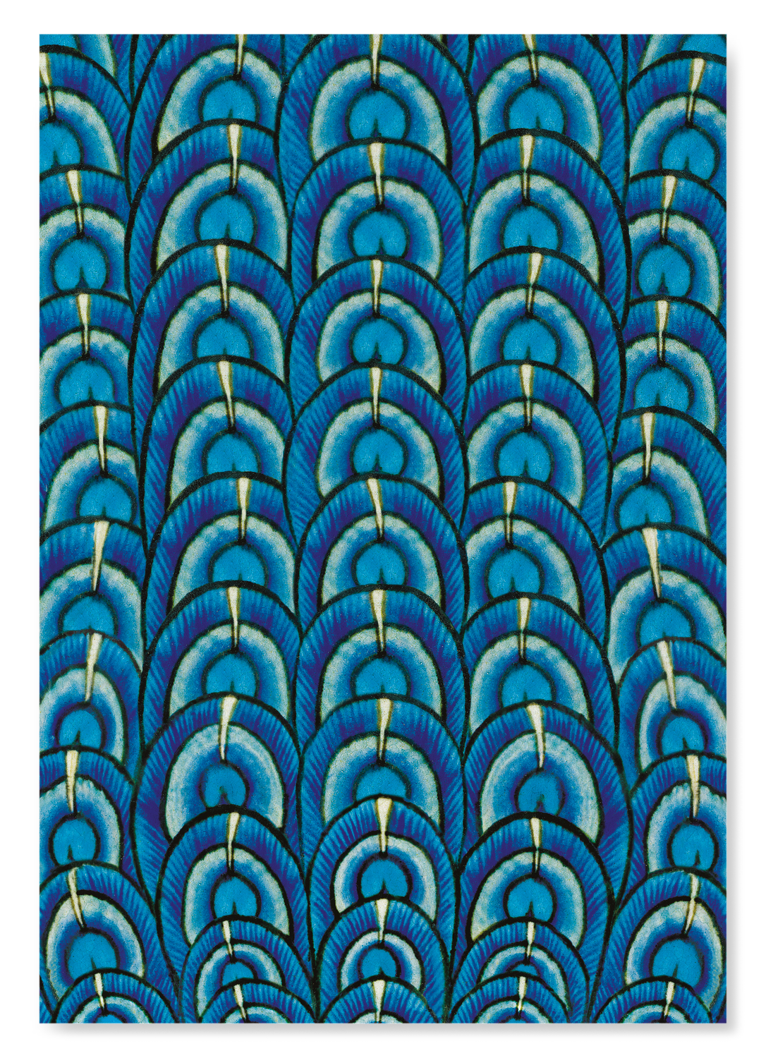 DE MORGAN PEACOCK: Pattern Art Print