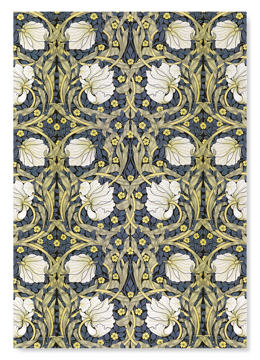 PIMPERNEL FLOWERS: Pattern Art Print