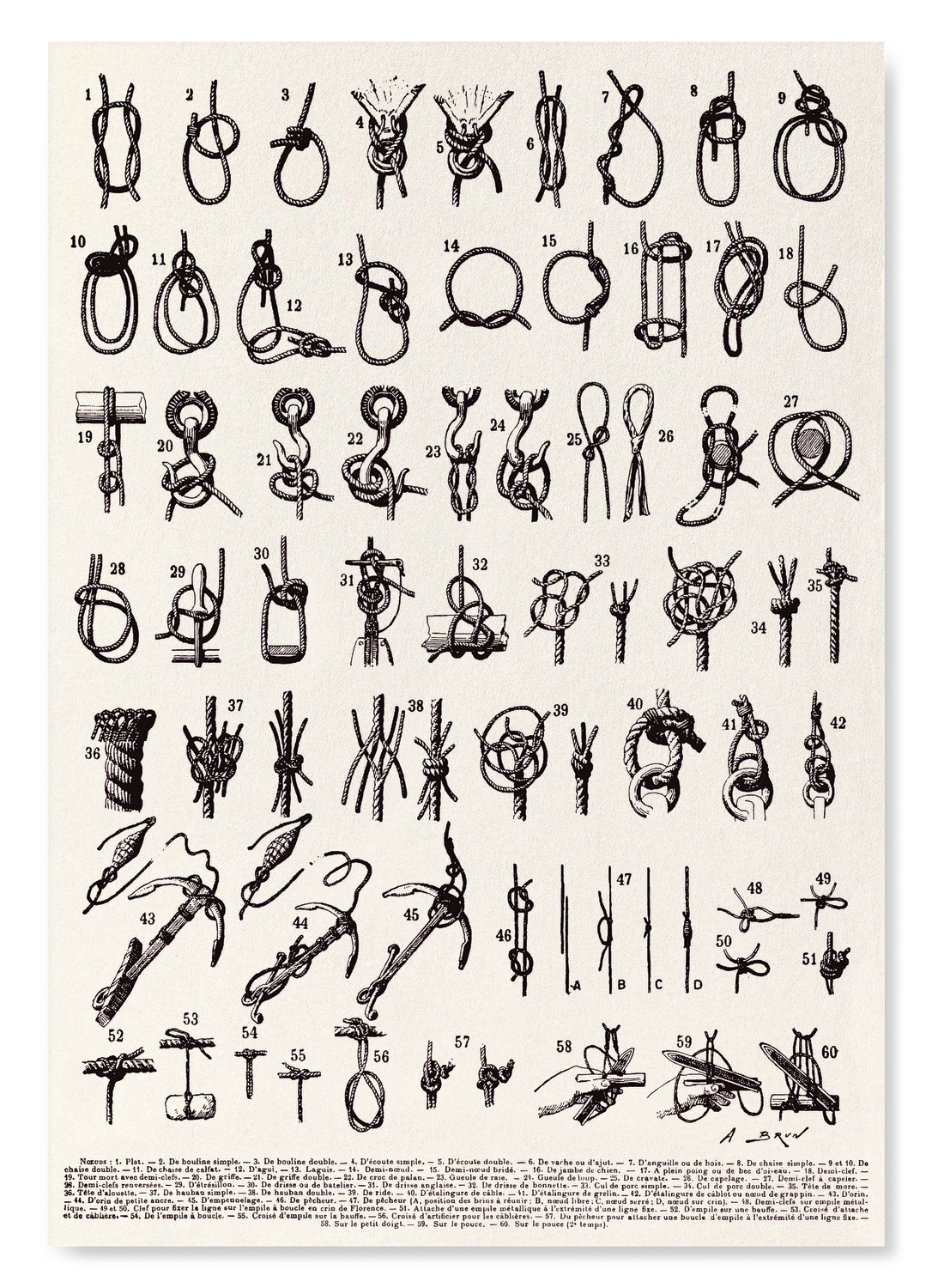 TYPES OF KNOTS (1909): Painting Art Print