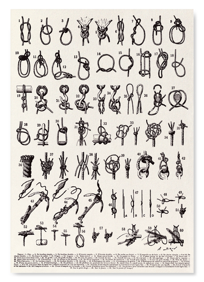TYPES OF KNOTS (1909): Painting Art Print