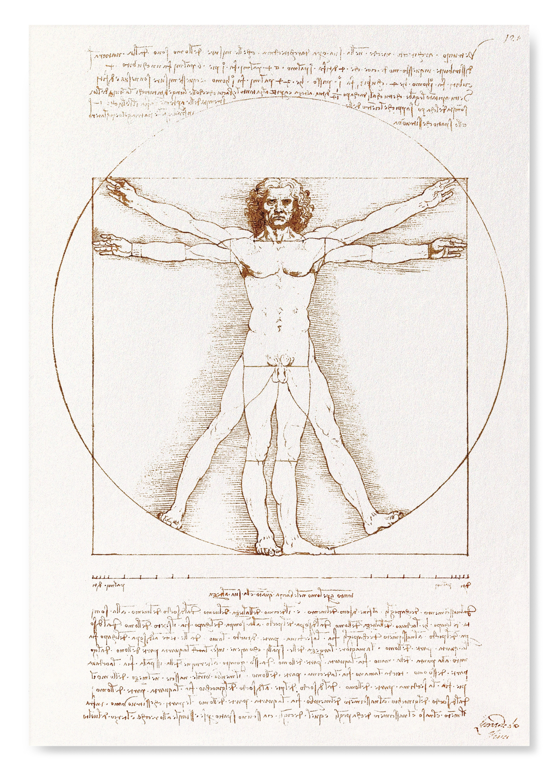 VITRUVIAN MAN (C.1490): Painting Art Print