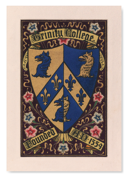 TRINITY COLLEGE CREST: Painting Art Print