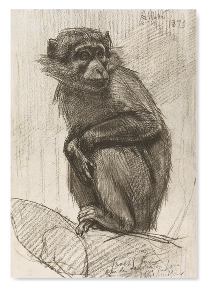 MONKEY ON A BRANCH (1879): Painting Art Print