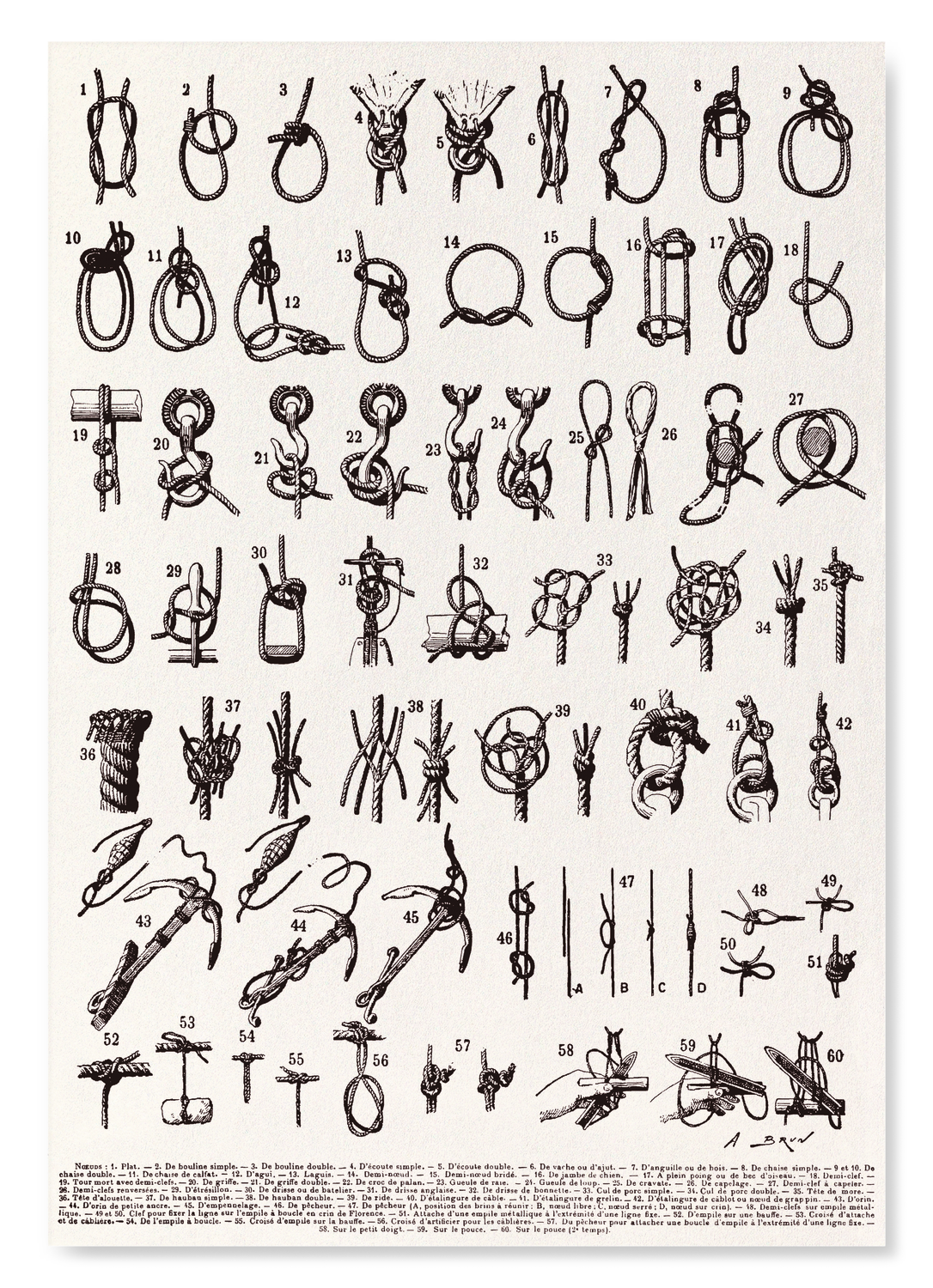 TYPES DE NŒUDS (1909): Painting Art Print