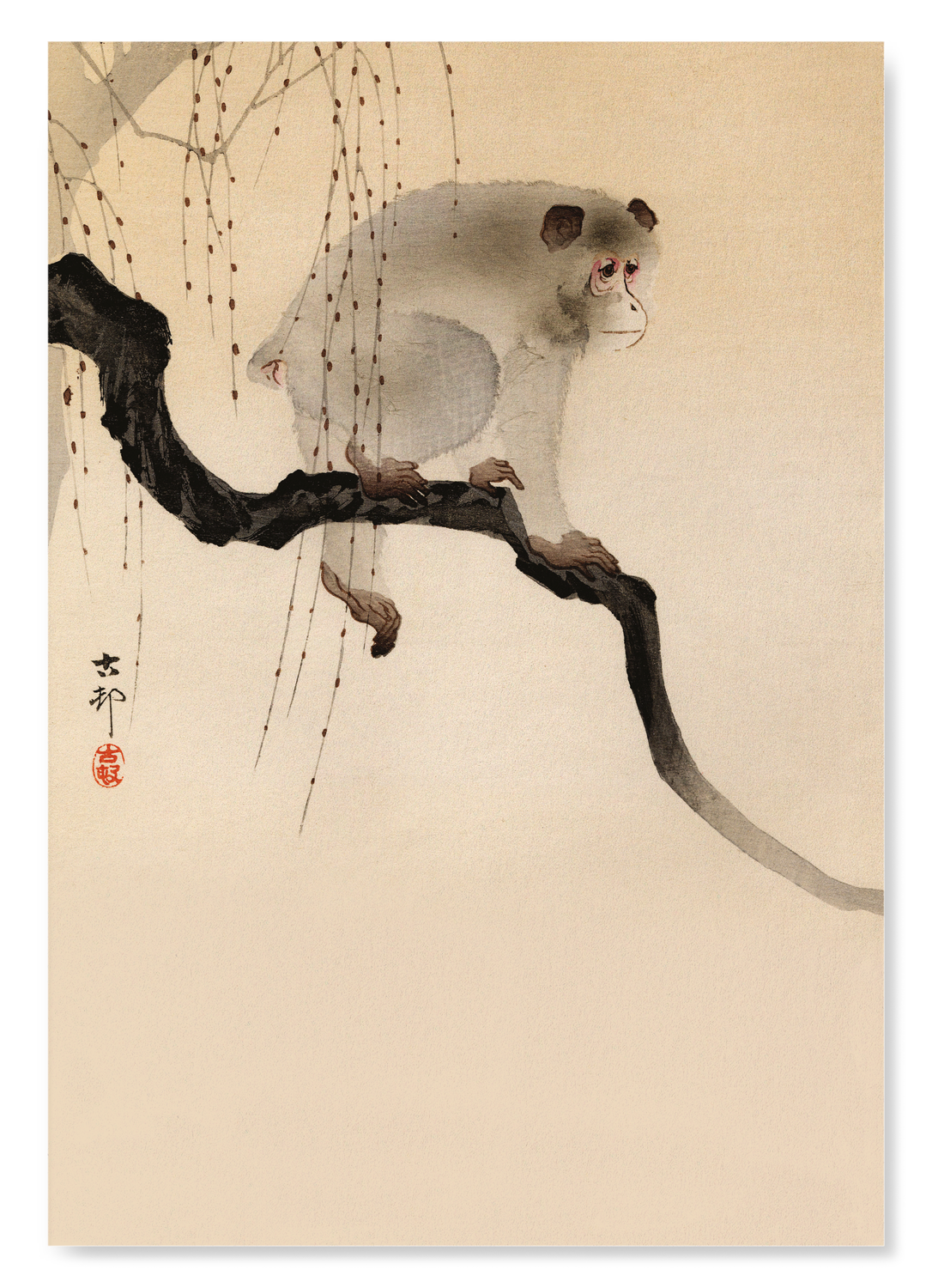 MONKEY IN A TREE: Japanese Art Print