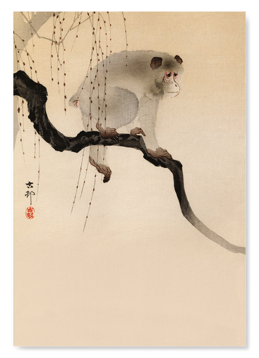 MONKEY IN A TREE: Japanese Art Print