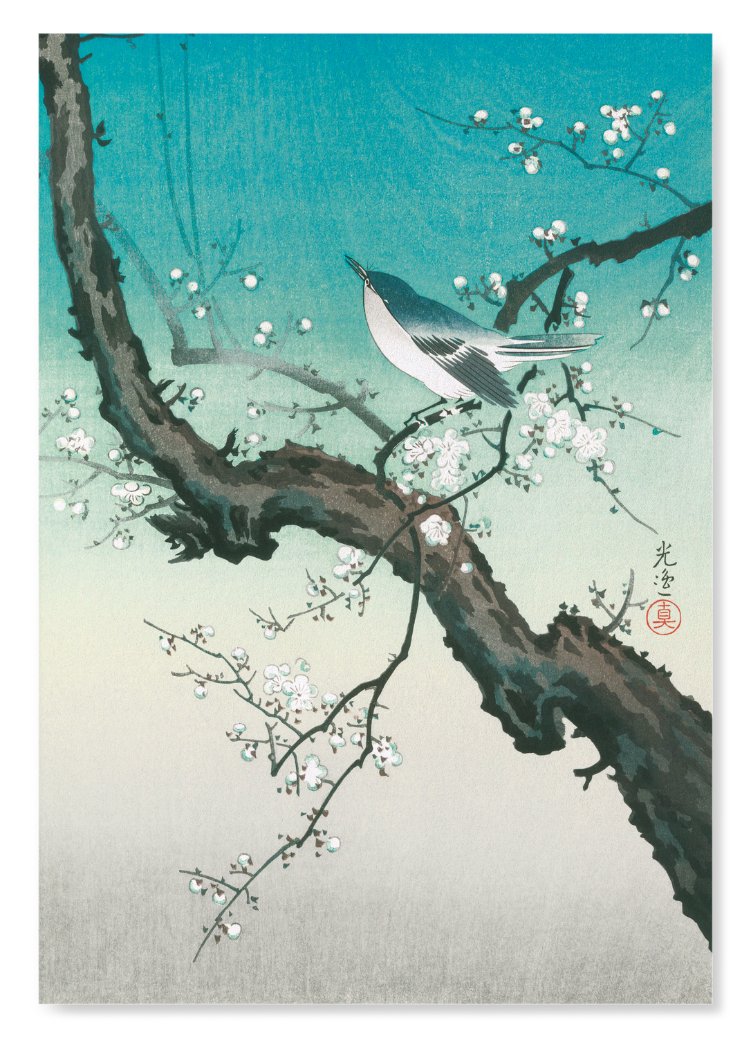 BUSH WARBLER AND PLUM BLOSSOMS: Japanese Art Print
