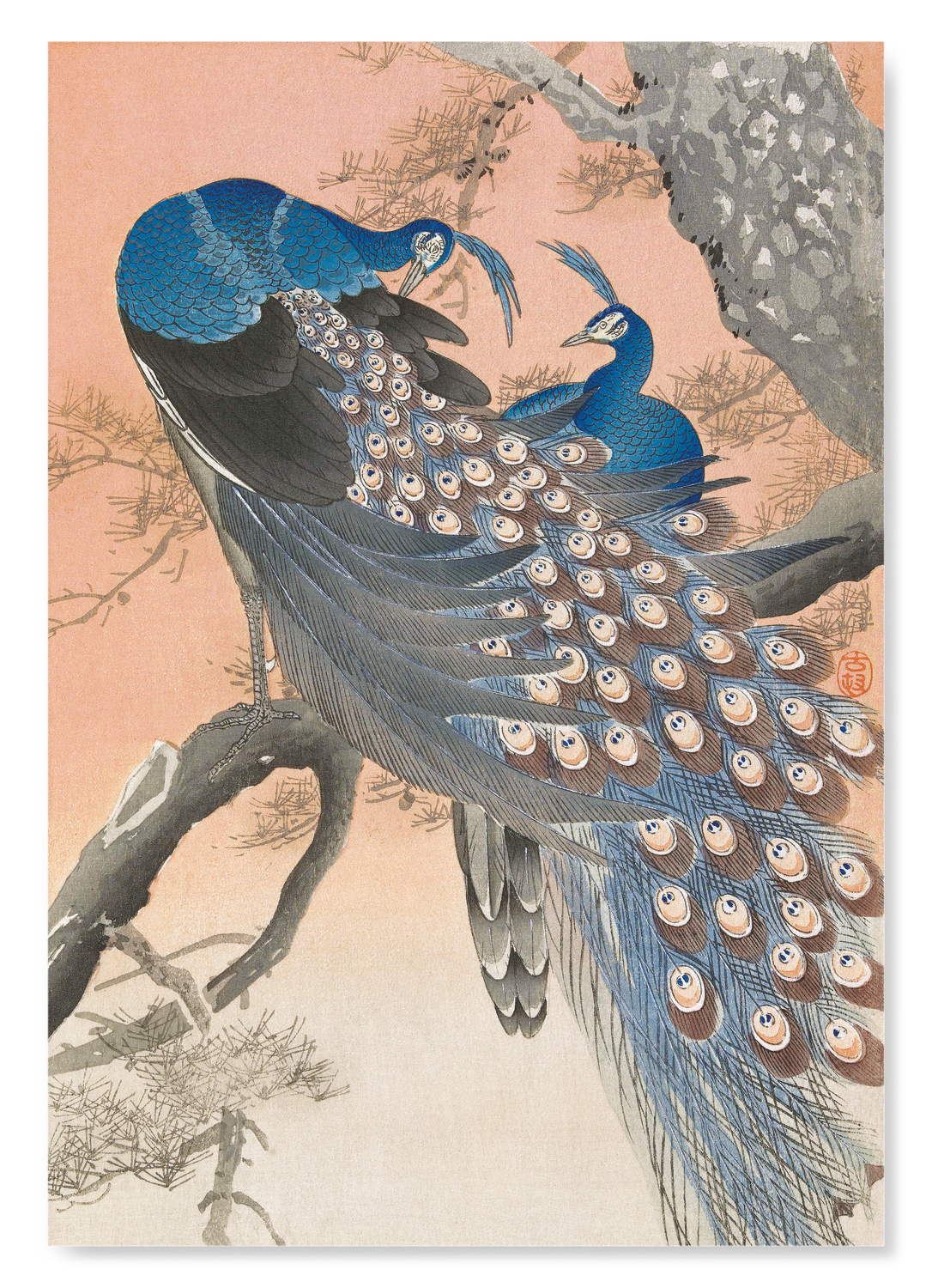 COUPLE OF PEACOCKS (C.1910): Japanese Art Print