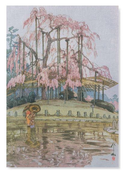 YOZAKURA IN THE RAIN: Japanese Art Print