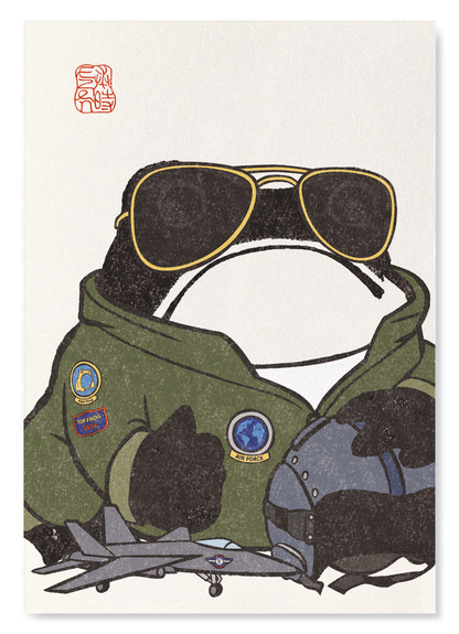 AIR PILOT EZEN FROG: Art Print