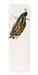 Ezen Designs - Indian peafowl (Mid 17th C.) - Bookmark - Front