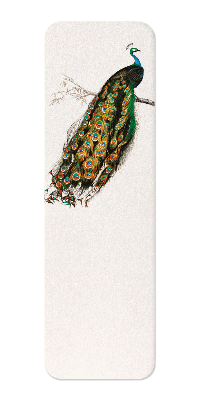 Ezen Designs - Indian peafowl (Mid 17th C.) - Bookmark - Front