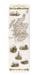 Ezen Designs - Map of Scotland (1851) - Bookmark - Front