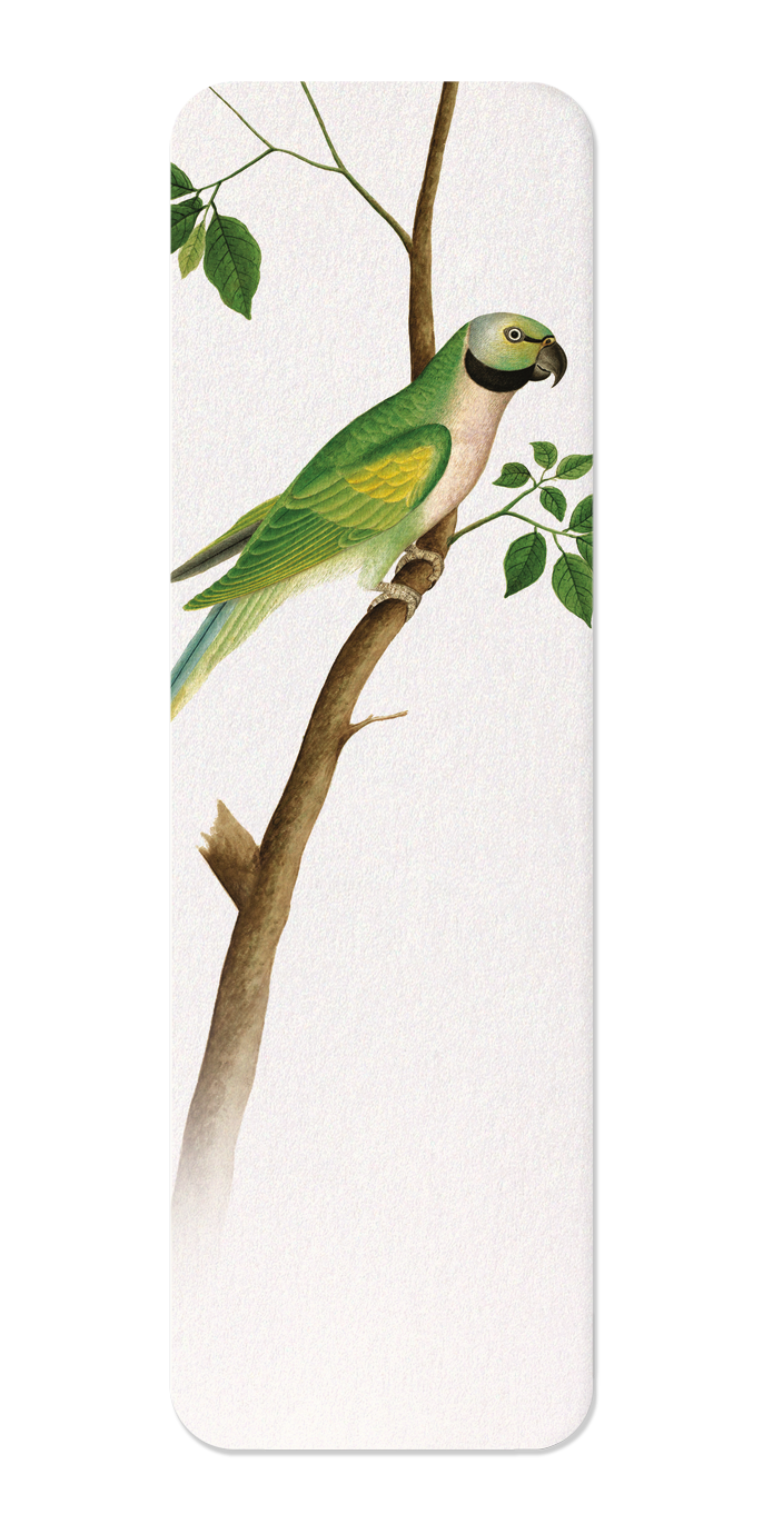 Ezen Designs - Green Parrot (c.1820) - Bookmark - Front