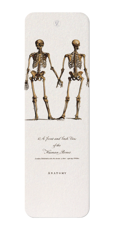 Ezen Designs - Human skeleton (1796) - Bookmark - Front