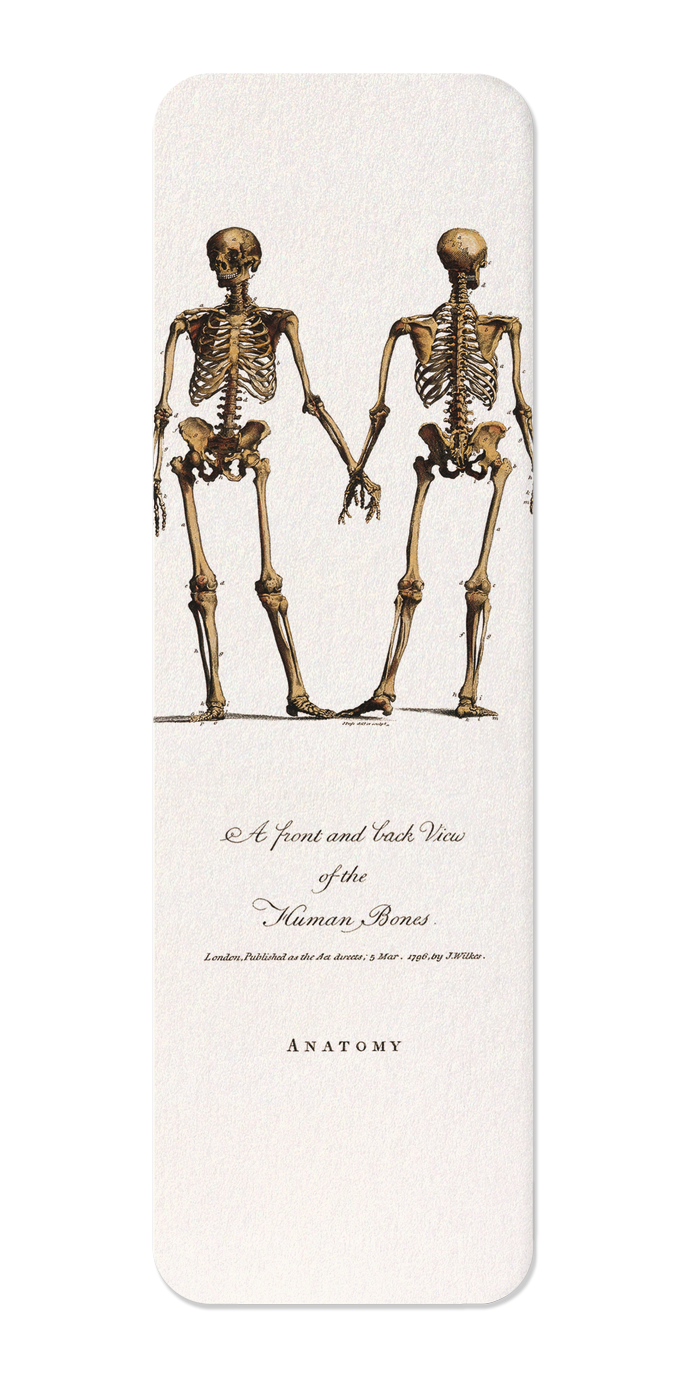 Ezen Designs - Human skeleton (1796) - Bookmark - Front