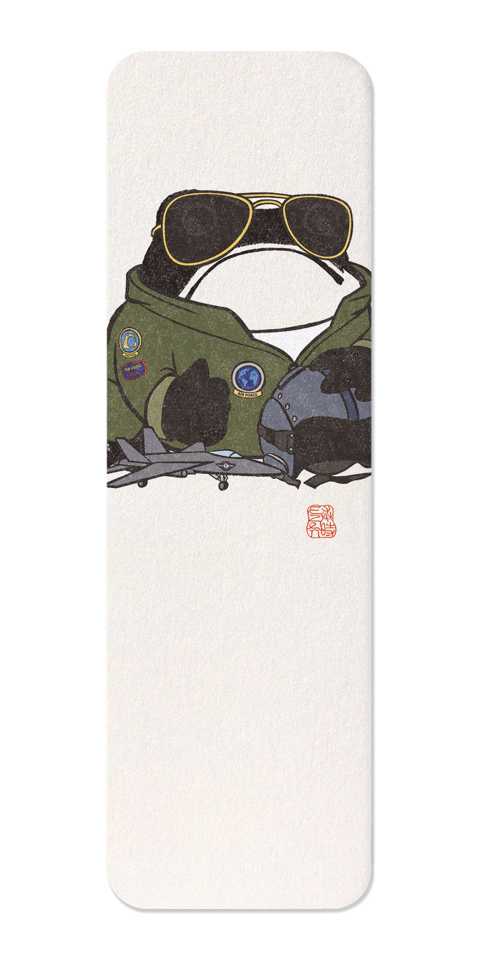 Ezen Designs - Air Pilot Ezen Frog - Bookmark - Front