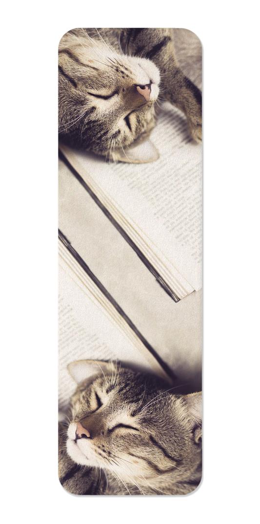 Ezen Designs - Cat and book - Bookmark - Front