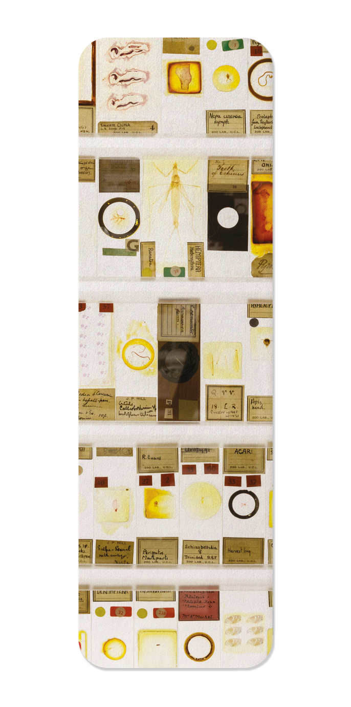 Ezen Designs - The Micrarium at UCL Grant Museum of Zoology - Bookmark - Front