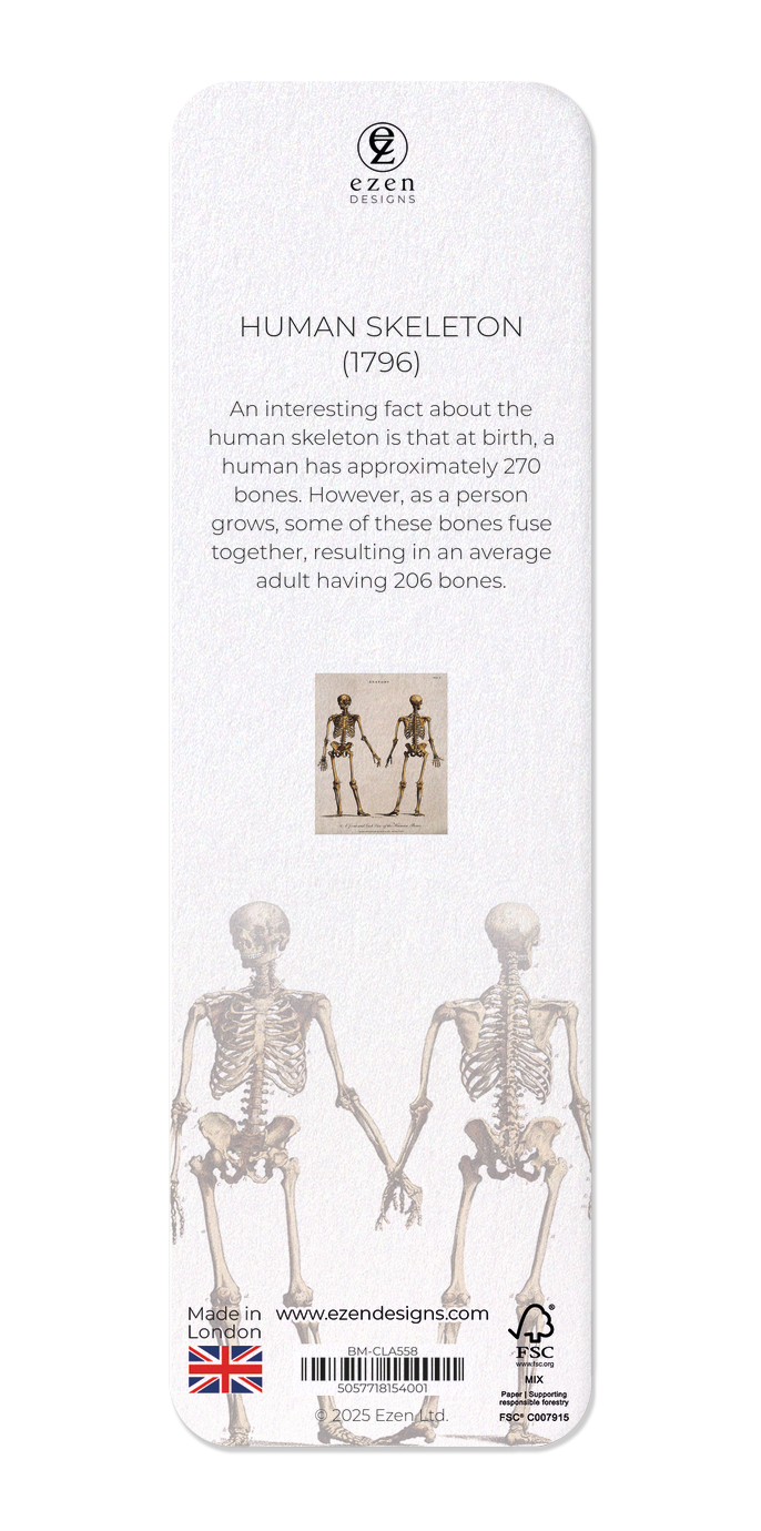 Ezen Designs - Human skeleton (1796) - Bookmark - Back