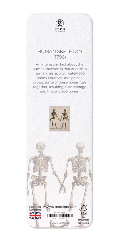 Ezen Designs - Human skeleton (1796) - Bookmark - Back