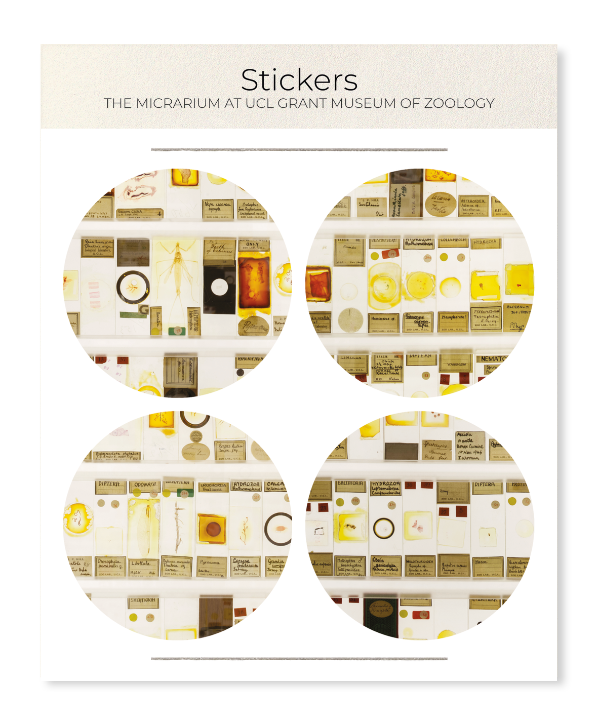 Ezen Designs - The Micrarium at UCL Grant Museum of Zoology - Sticker Set