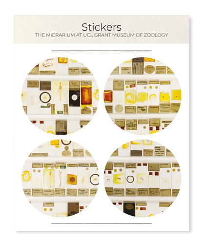 Ezen Designs - The Micrarium at UCL Grant Museum of Zoology - Sticker Set