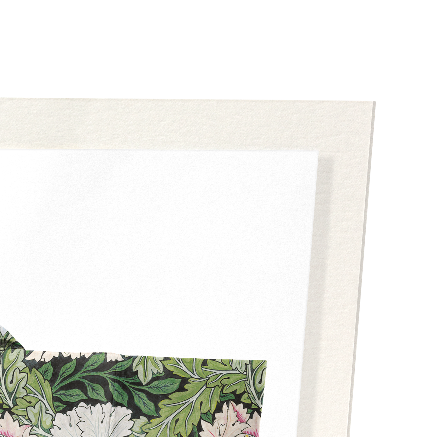 POPPIES AND ACANTHUS FLOWERS KIMONO: Bespoke Art Print