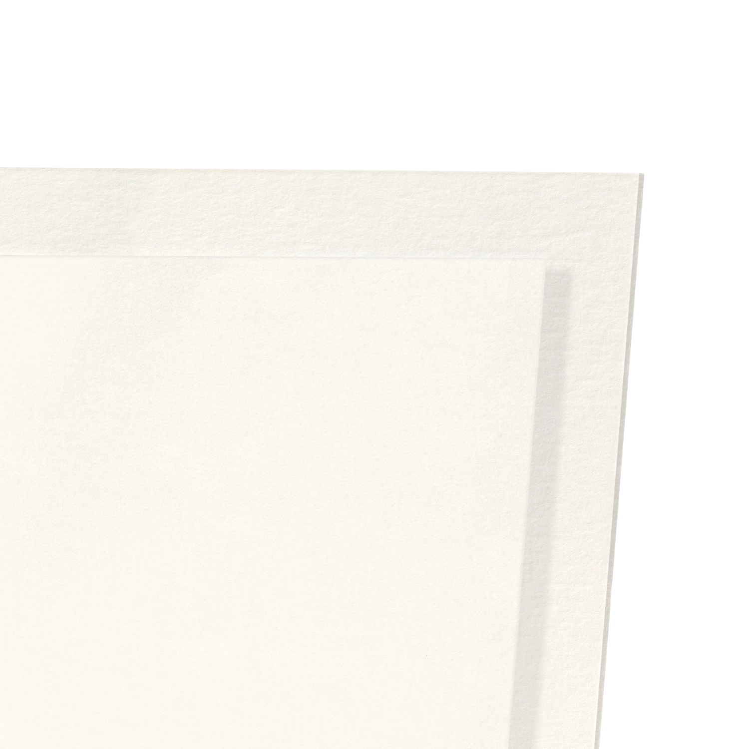 KEW GARDENS PALM HOUSE EZEN FROG: Art Print