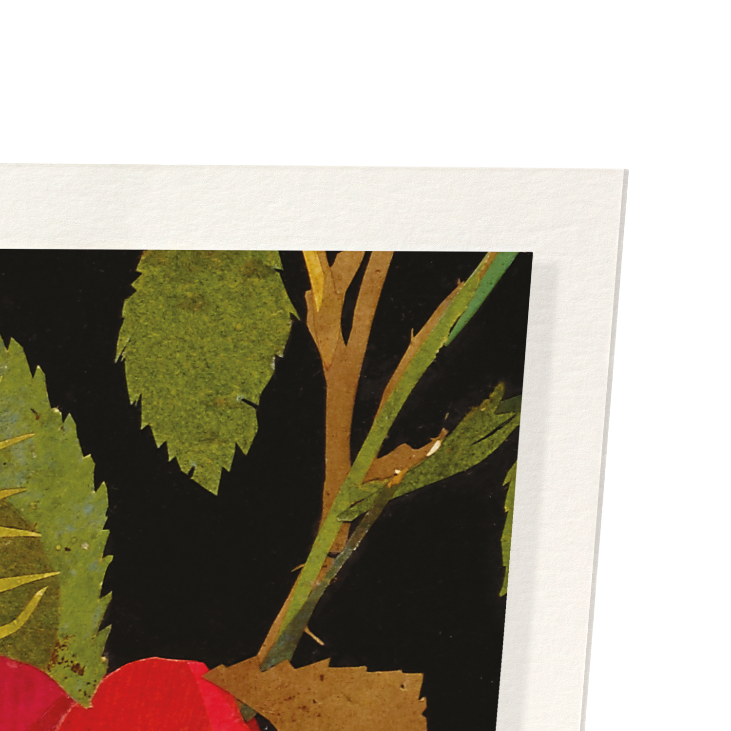 THE RED ROSE, ROSA GALLICA (1782): Botanical Art Print