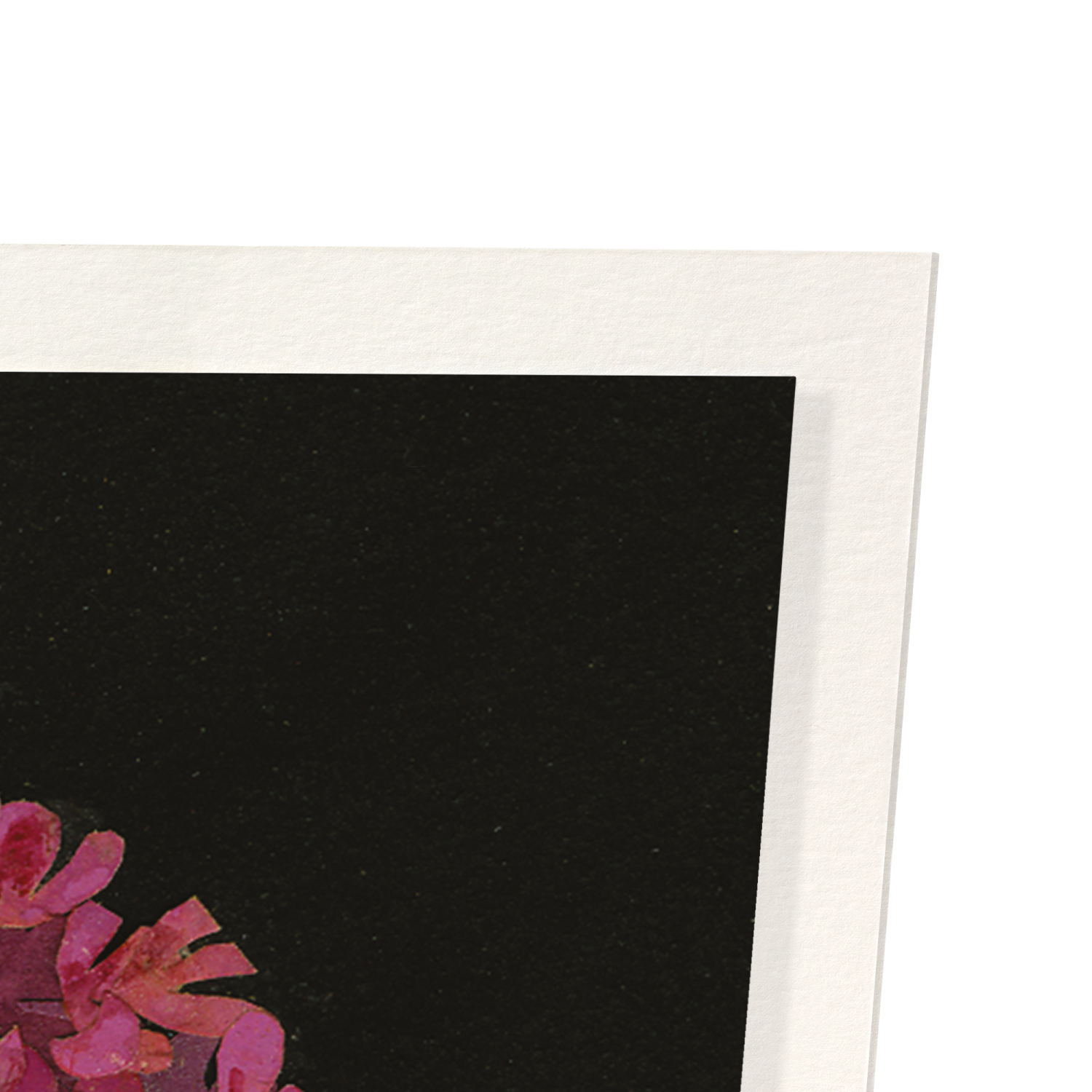 PYRAMIDAL ORCHID, ORCHIS PYRAMIDALIS (1780): Bespoke Art Print