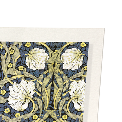PIMPERNEL FLOWERS: Pattern Art Print