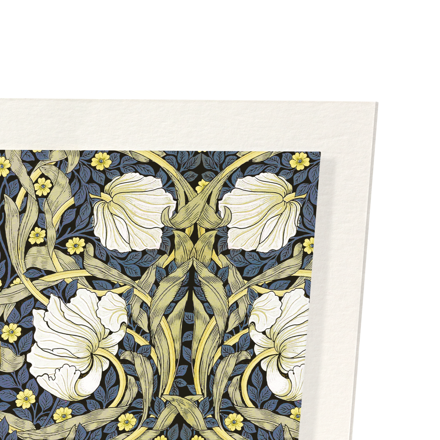 PIMPERNEL FLOWERS: Pattern Art Print